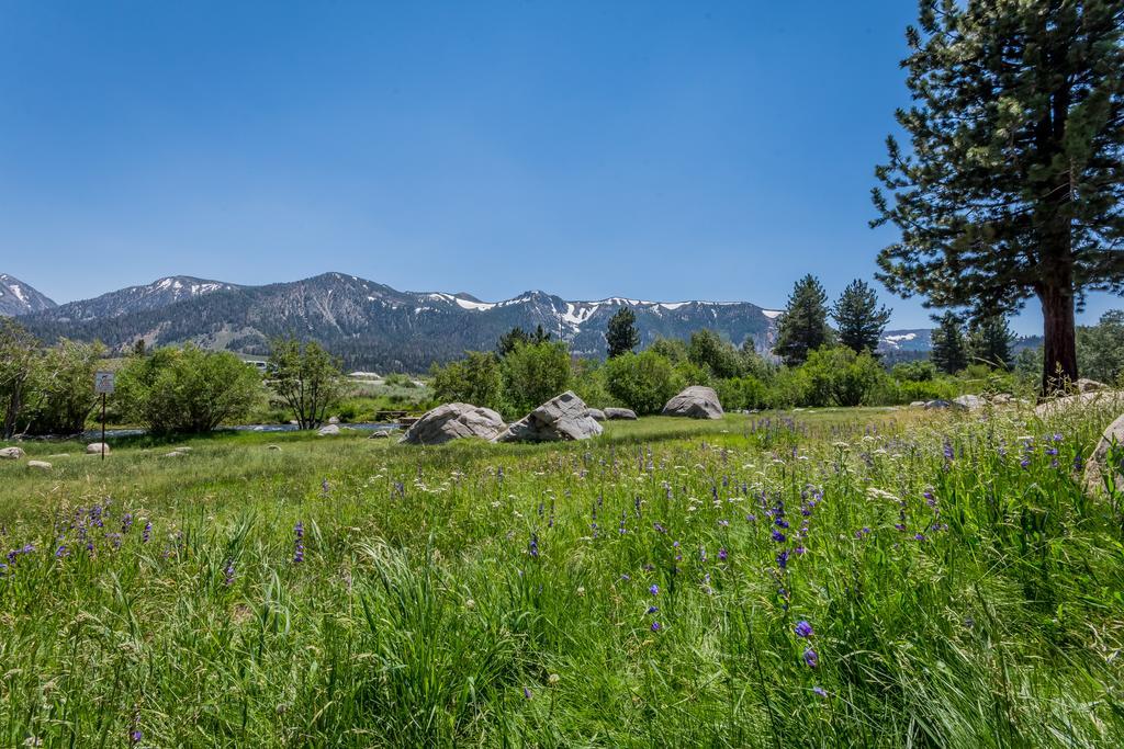 Mammoth Creek Condos Mammoth Lakes Esterno foto